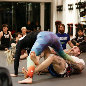 Jujutsu Martial Art New York